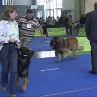 Salzburg Clubschau Mai 06 240 